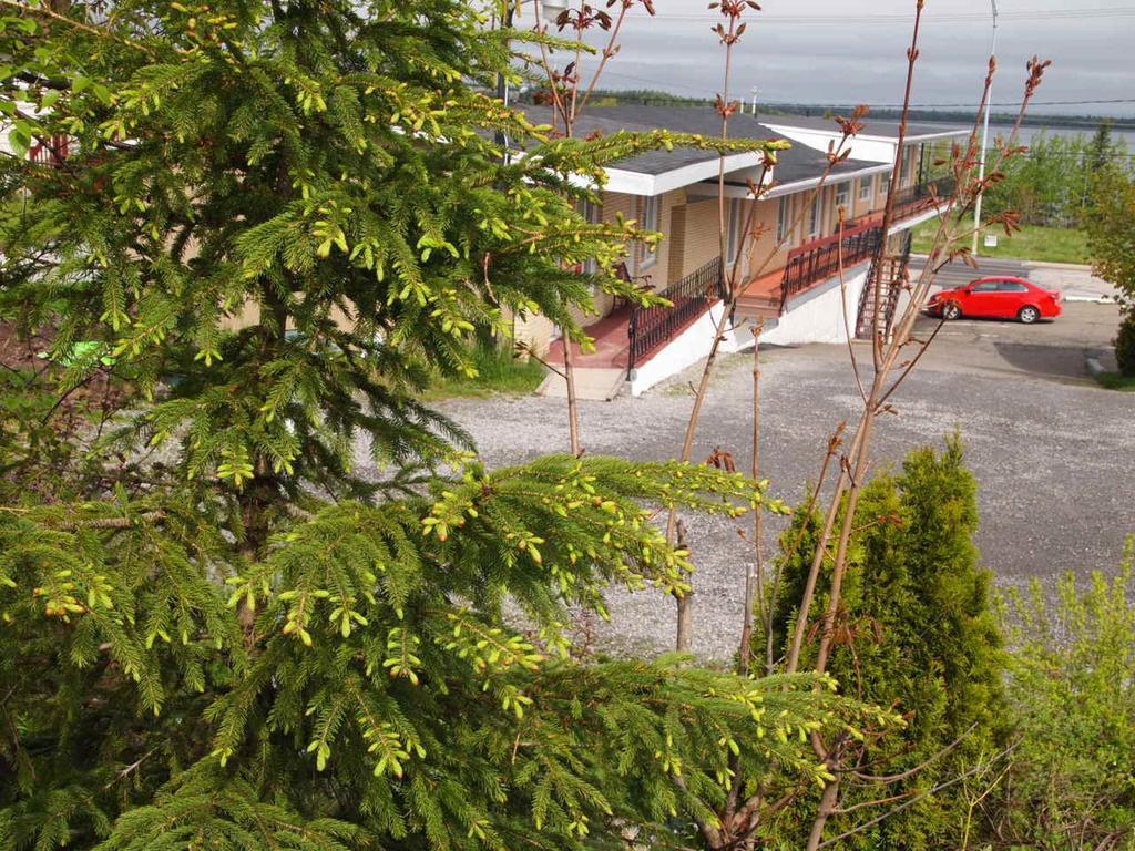 Motel Lyse Rimouski Εξωτερικό φωτογραφία